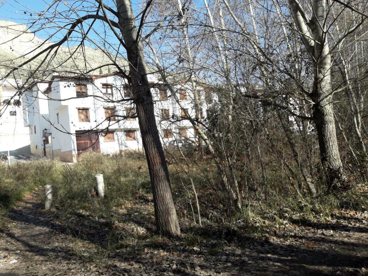 Alborada Pinos Genil Exterior foto